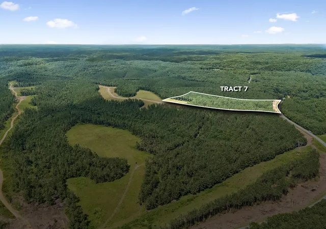 2nd image of 1420 Big Swan Creek Rd Tract 7, Summertown, TN 38483 | MLS# 3305595