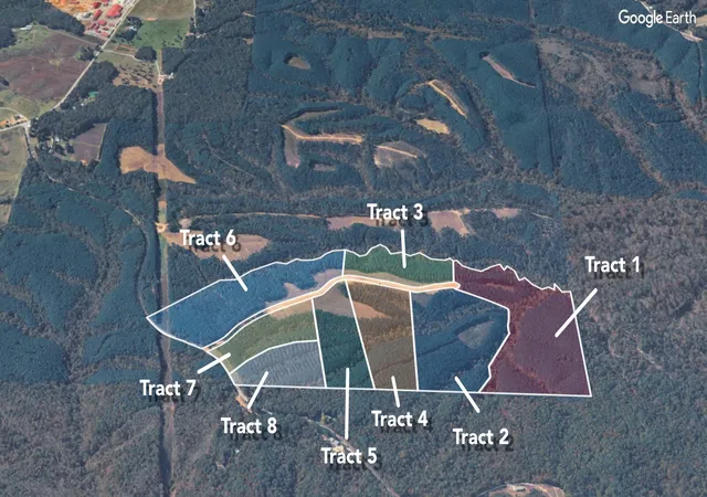 26th image of 1420 Big Swan Creek Rd Tract 7, Summertown, TN 38483 | MLS# 3305595