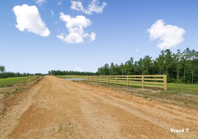 4th image of 1420 Big Swan Creek Rd Tract 7, Summertown, TN 38483 | MLS# 3305595