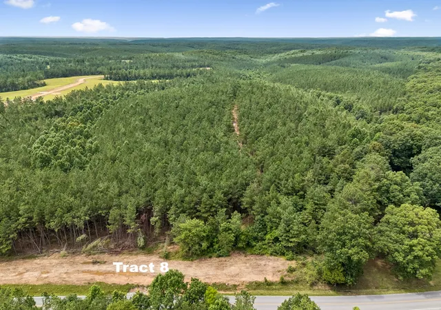 2nd image of 1420 Big Swan Creek Rd Tract 8, Summertown, TN 38483 | MLS# 3305585
