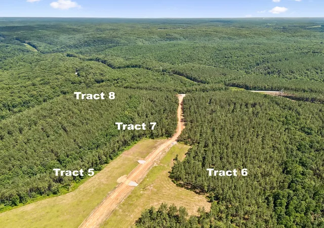 Photo 3 of Land for sale at 1420 Big Swan Crk Rd Tract 8, Summertown, TN 38483 | MLS# 3305585 | Listing updated on 2026-09-04