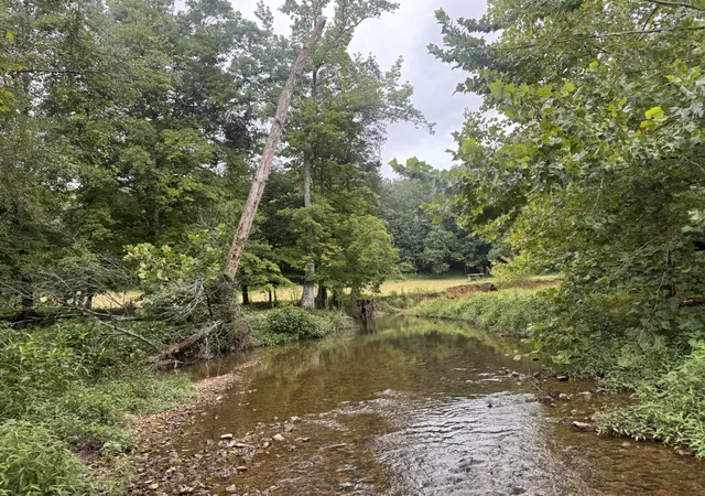 1st image of 0 Upper Standing Rock Rd, Dover, TN 37058 | MLS# 3333550