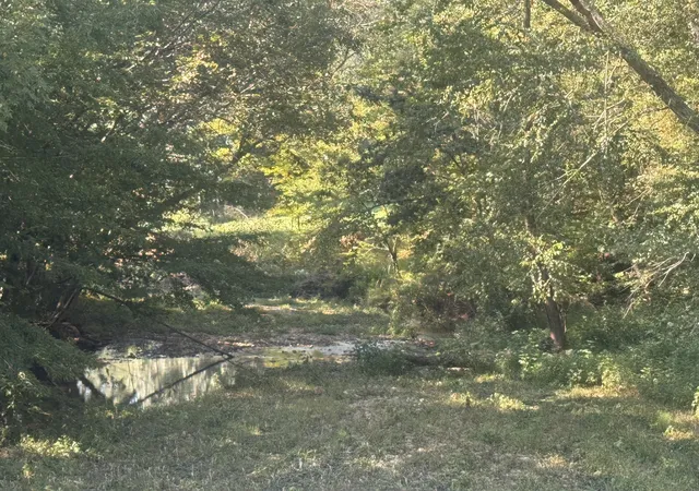 Photo 32 of Land for sale at 0 Upper Standing Rock Rd, Dover, TN 37058 | MLS# 3333550 | Listing updated on 2026-09-03