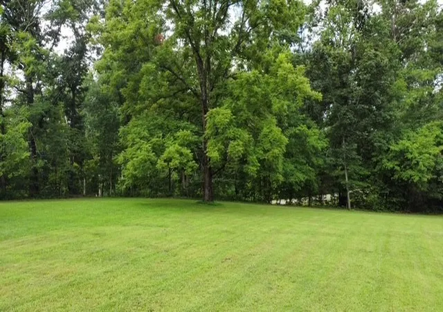 5th image of 7398 Forrest Glenn Rd, Fairview, TN 37062 | MLS# 3304809