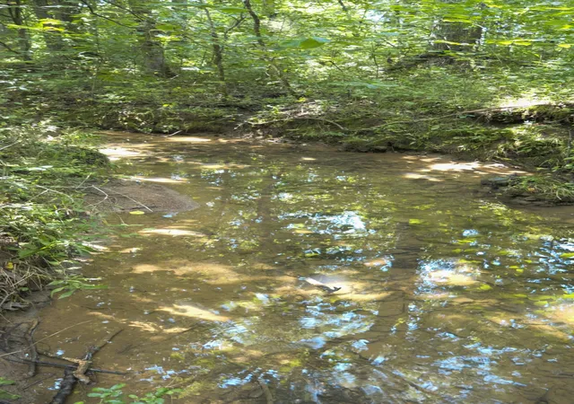 4th image of 2449 Warner Bridge Rd, Shelbyville, TN 37160 | MLS# 3306299