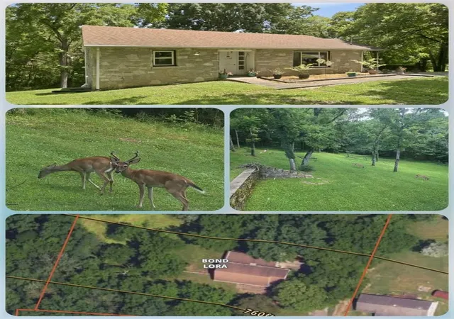 2nd image of 215 Wallace Dr, Fayetteville, TN 37334 | MLS# 3306235