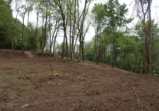5th image of 3199 Mcknight Rd, Lewisburg, TN 37091 | MLS# 3312701