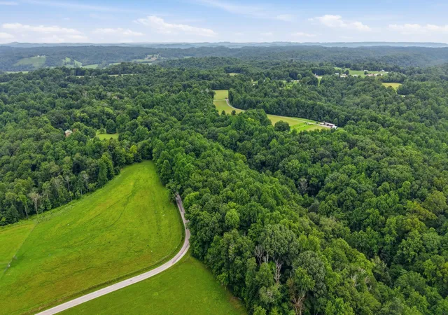 21st image of 0 Holland Hill, Manchester, TN 37355 | MLS# 3309167