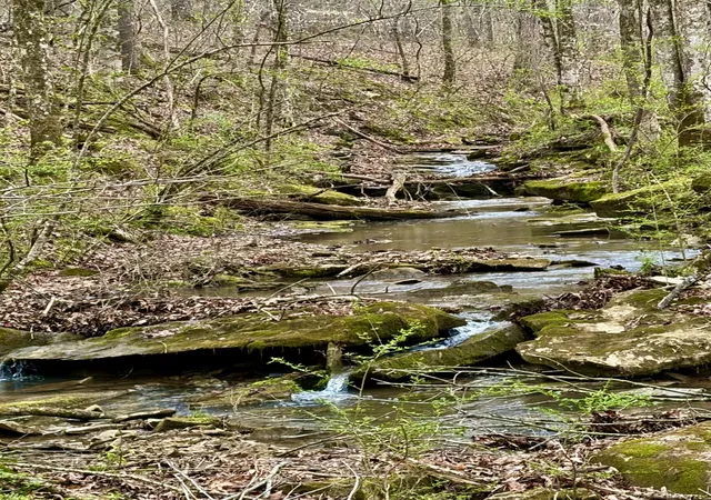 2nd image of 0 Kermet Turner Rd, Rock Island, TN 38581 | MLS# 3305537