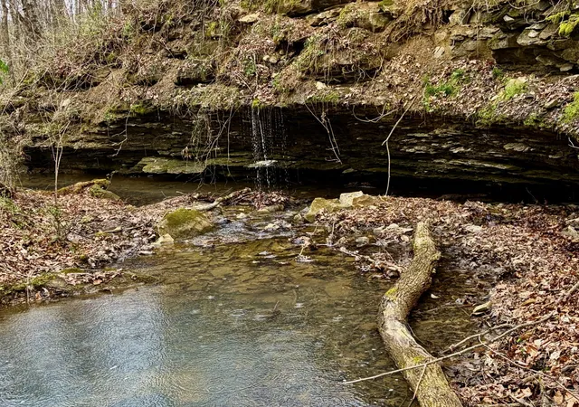 4th image of 0 Kermet Turner Rd, Rock Island, TN 38581 | MLS# 3305537