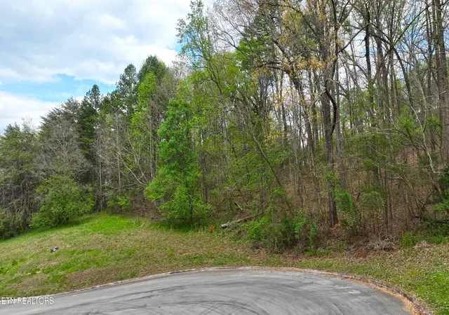 5th image of 765 Wood Duck Dr, Vonore, TN 37885 | MLS# 3305597