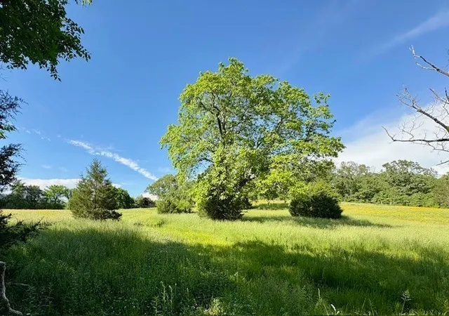 Photo 1 of Sale Pending at 1 Topsy Store Rd, Waynesboro, TN 38485 | MLS# 3305645 | Listing updated on 2026-08-15