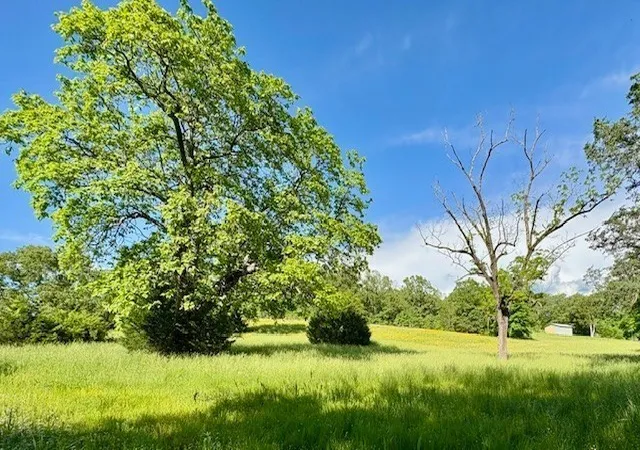 Photo 3 of Sale Pending at 1 Topsy Store Rd, Waynesboro, TN 38485 | MLS# 3305645 | Listing updated on 2026-08-15