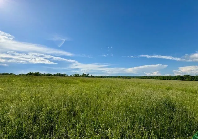 Photo 4 of Sale Pending at 1 Topsy Rd, Waynesboro, TN 38485 | MLS# 3305658 | Listing updated on 2026-08-19