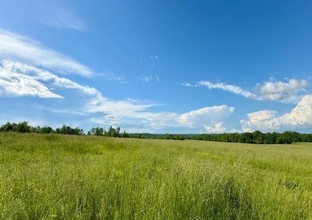 Photo 3 of Sale Pending at 1012 Topsy Store Rd, Waynesboro, TN 38485 | MLS# 3305681 | Listing updated on 2026-08-15