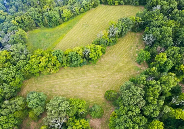Photo 3 of Land for sale at 0 Webb Rd, Eagleville, TN 37060 | MLS# 3306106 | Listing updated on 2026-08-07