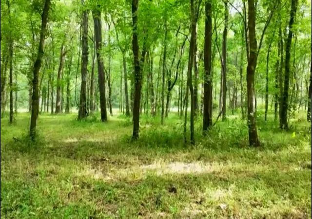 2nd image of 4 Reece Church Rd, Columbia, TN 38401 | MLS# 3501474