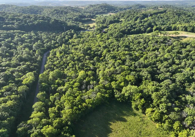 Photo 3 of Land for sale at 4 Reece Church Rd, Columbia, TN 38401 | MLS# 3501474 | Listing updated on 2026-08-10
