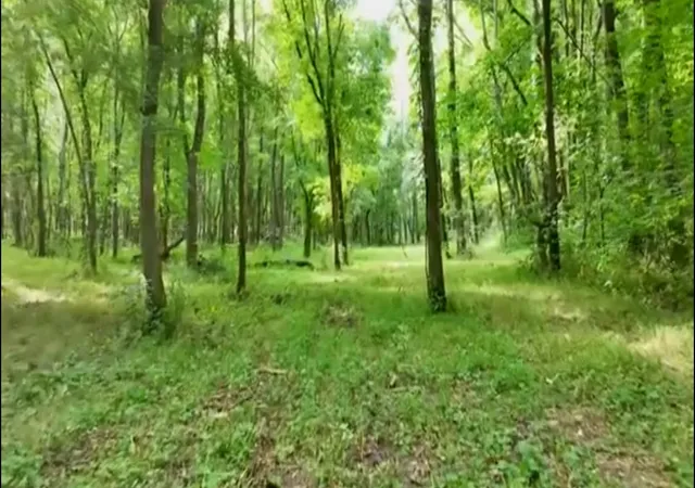 Photo 4 of Land for sale at 4 Reece Church Rd, Columbia, TN 38401 | MLS# 3501474 | Listing updated on 2026-08-10