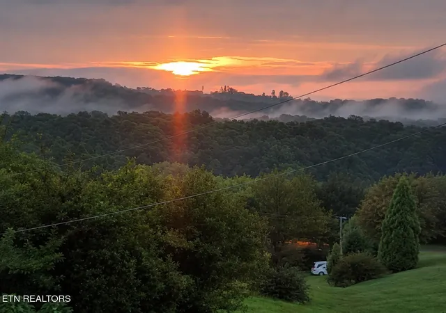 33rd image of 361 County Road 38, Riceville, TN 37370 | MLS# 3305745