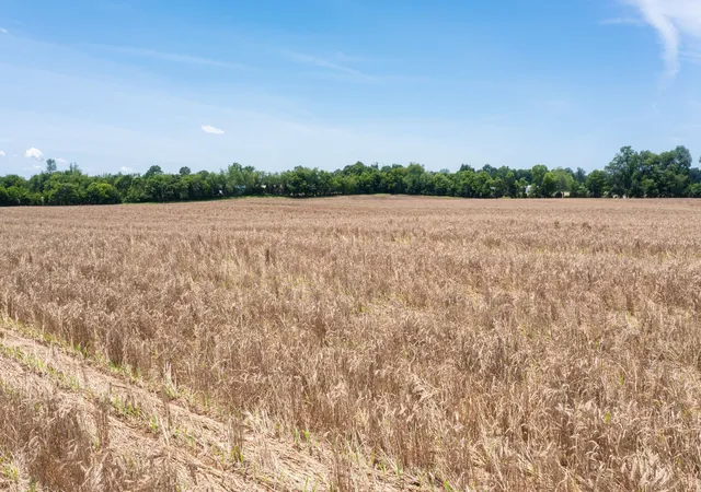 30th image of 332 Coble Rd, Shelbyville, TN 37160 | MLS# 3305988