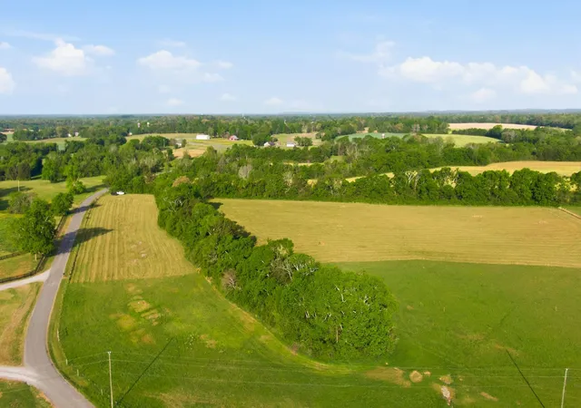 2nd image of 0 Cedar Grove Rd, Chapel Hill, TN 37034 | MLS# 3306458