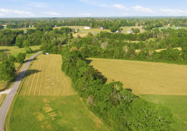 3rd image of 0 Cedar Grove Rd, Chapel Hill, TN 37034 | MLS# 3306458