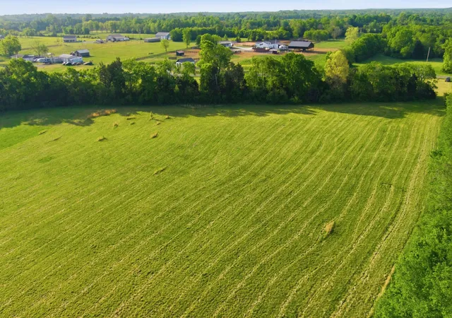 5th image of 0 Cedar Grove Rd, Chapel Hill, TN 37034 | MLS# 3306458