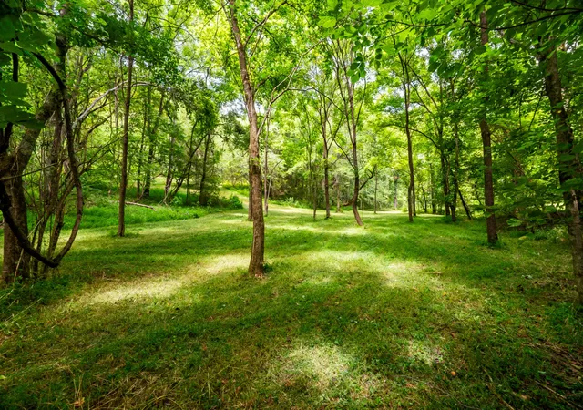 3rd image of 0 Bethlehem Rd, Springfield, TN 37172 | MLS# 3306362