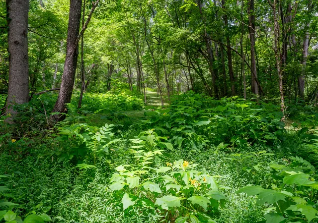 4th image of 0 Bethlehem Rd, Springfield, TN 37172 | MLS# 3306362