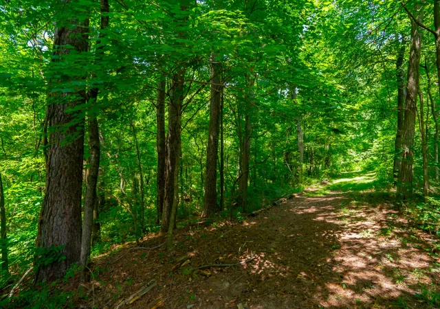 5th image of 0 Bethlehem Rd, Springfield, TN 37172 | MLS# 3306362