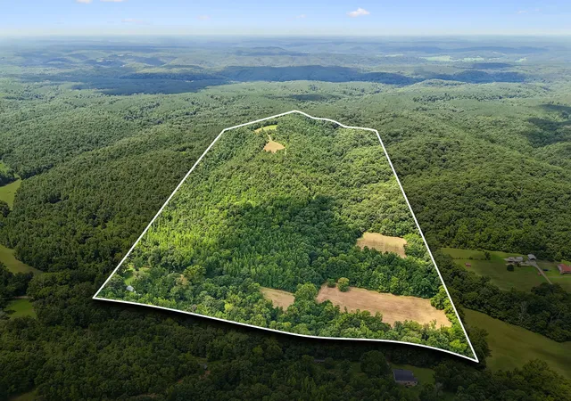2nd image of 0 Ugly Creek Road, Duck River, TN 38454 | MLS# 3306242