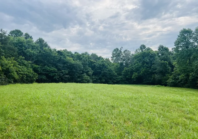 1st image of 0 Pleasant Grove Road, Westmoreland, TN 37186 | MLS# 3306404