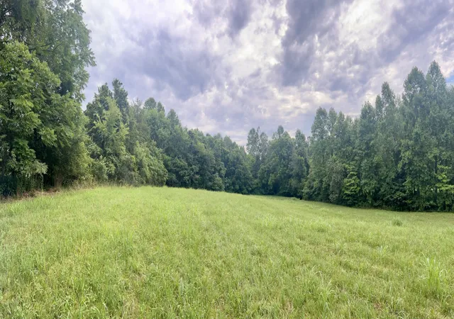 2nd image of 0 Pleasant Grove Road, Westmoreland, TN 37186 | MLS# 3306404