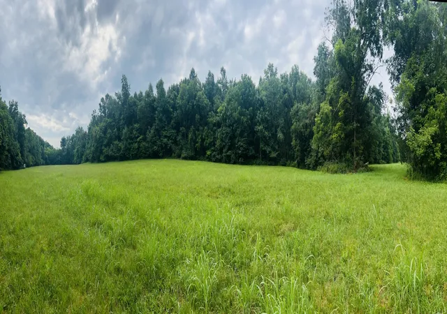 4th image of 0 Pleasant Grove Road, Westmoreland, TN 37186 | MLS# 3306404