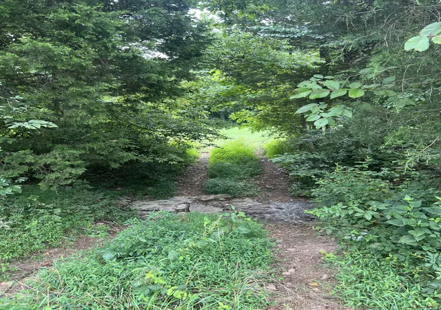 5th image of 0 Pleasant Grove Road, Westmoreland, TN 37186 | MLS# 3306404