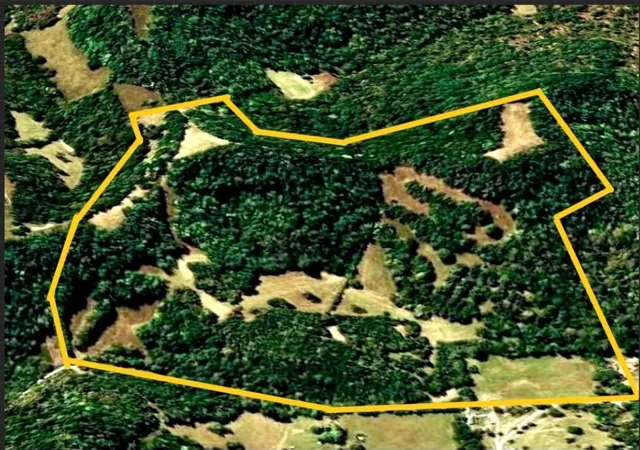 5th image of 0 Sorrells Road, Petersburg, TN 37144 | MLS# 3314720