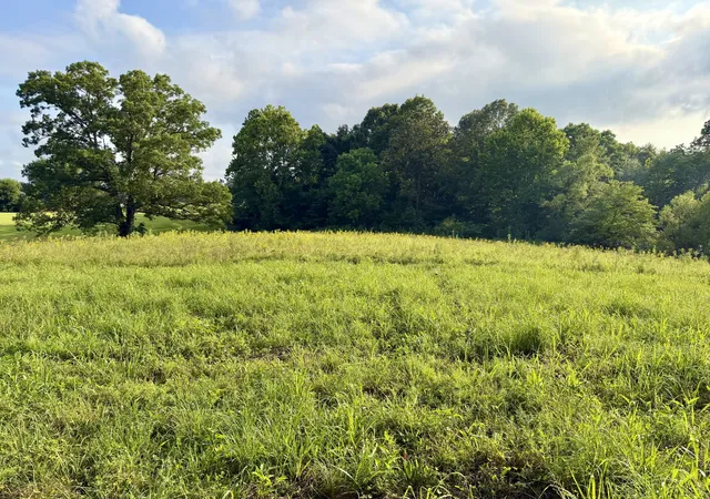 1st image of 669 Houston Fielder Rd, Clarksville, TN 37043 | MLS# 3306504