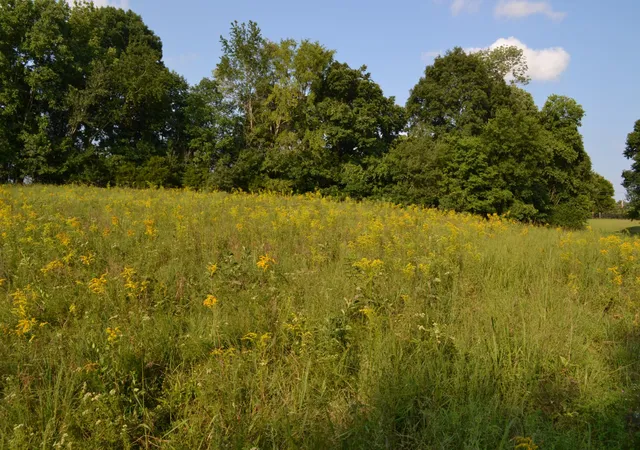 19th image of 669 Houston Fielder Rd, Clarksville, TN 37043 | MLS# 3306504