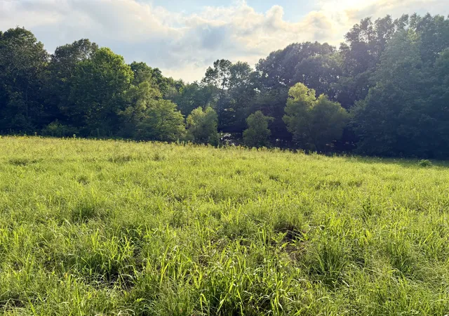 2nd image of 669 Houston Fielder Rd, Clarksville, TN 37043 | MLS# 3306504