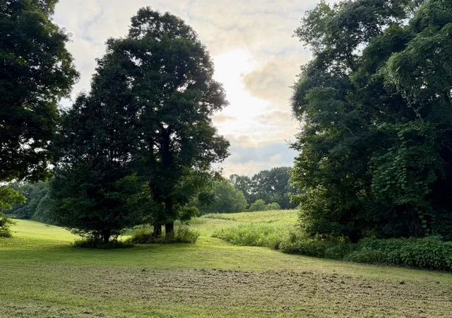 4th image of 669 Houston Fielder Rd, Clarksville, TN 37043 | MLS# 3306504