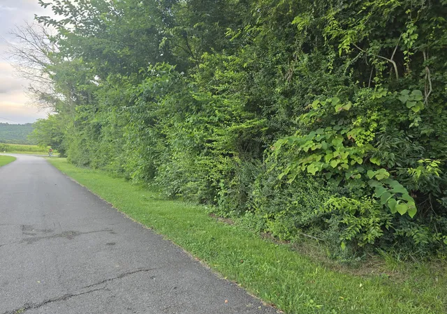 1st image of 1240 Old Beersheba Rd, Mc Minnville, TN 37110 | MLS# 3306435