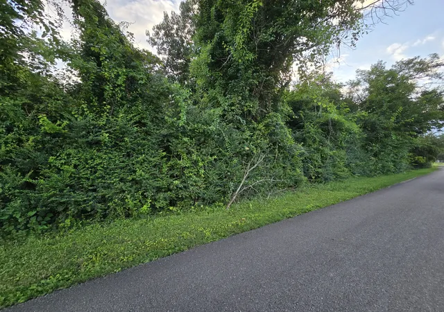 2nd image of 1240 Old Beersheba Rd, Mc Minnville, TN 37110 | MLS# 3306435