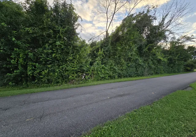 3rd image of 1240 Old Beersheba Rd, Mc Minnville, TN 37110 | MLS# 3306435