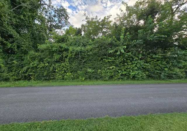 4th image of 1240 Old Beersheba Rd, Mc Minnville, TN 37110 | MLS# 3306435