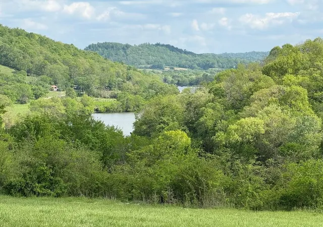 Land for sale at 222 Cook Holw Ln, Pleasant Shade, TN 37145 | MLS# 3306429