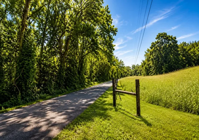1st image of 539 Wallace Rd, Gallatin, TN 37066 | MLS# 3309494