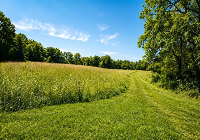 2nd image of 539 Wallace Rd, Gallatin, TN 37066 | MLS# 3309494