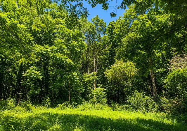7th image of 539 Wallace Rd, Gallatin, TN 37066 | MLS# 3309494