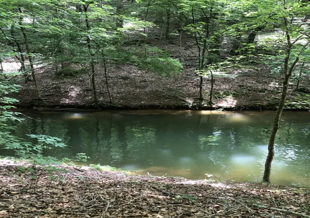 2nd image of 0 Old Tullahoma Rd, Estill Springs, TN 37330 | MLS# 3306480